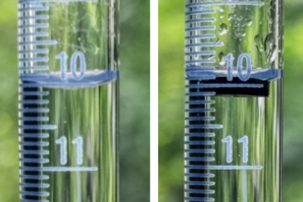 Latest Publication Bild 1